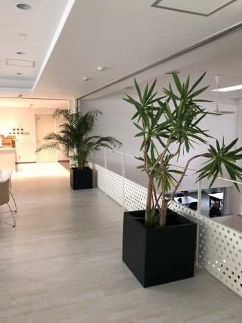 西区 Iビル様 Indoor Garden 外構工事は北名古屋市のglitterランドスケープデザインへ